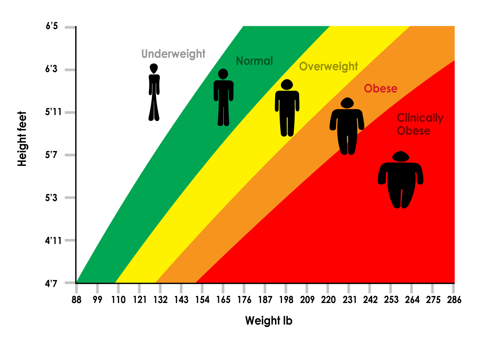 Medically Obese Chart